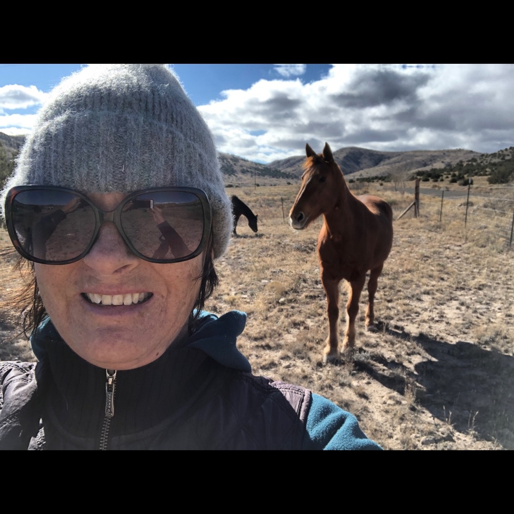 Meet your Posher, Melissa